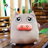 Cartoon Lovely Stuffed Animal Doll Plush Emoji Pig Pillow Kids Toy