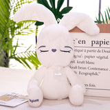 Cute Plush Fat Rabbit Toy Giant Stuffed Bunny Pillow Kids Baby Doll