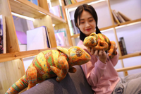 Giant Soft Stuffed Chameleon Toy Plush Lizard Pillow Home Decor
