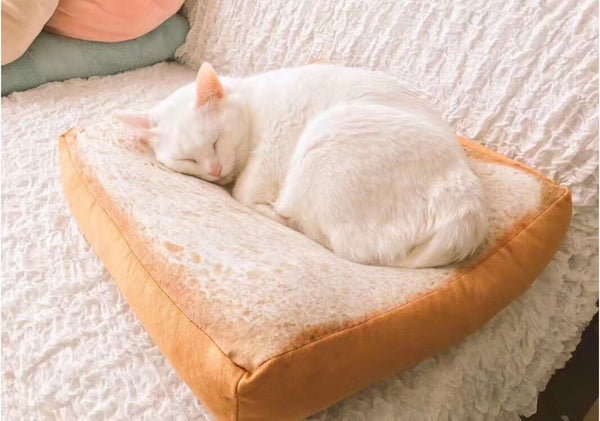 Celebrity Style Bread Seat Cushion Slice Toast Pillow Plush Cat