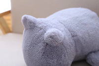 Kawaii Plush Cat Toys Stuffed Cats Cute Animal Dolls for Baby Kids