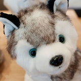 Plush Husky Dog Stuffed Animal Puppy Toys Gifts 8"