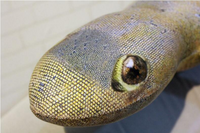 Giant Soft Chameleon Plush Pillow Creative Funny Lizard Stuffed Toy