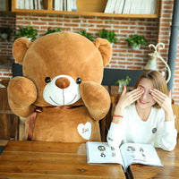 Soft Cute Plush Teddy Bear with Heart Stuffed Bear Pillow Kids Toy