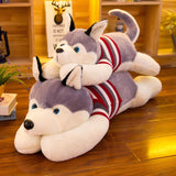 Big Size Cute Husky In Sweater Plush Toy Stuffed Dog Pillow Girls Gift