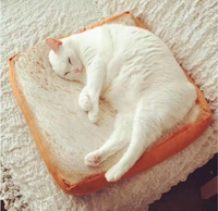 Soft Pet Cushion Stuffed Realistic Bread Pillow Plush Toast Toy