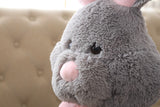 Kawaii Rabbit Plush Toys Soft Stuffed Animal Doll Baby Accompany Toy