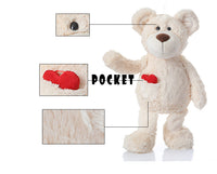 Cute Cartoon Teddy Bear Plush Toy Soft Stuffed Bear Animals Doll Pillow
