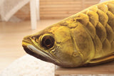 Gold Arowana Kelisa Yellow Croker Lifelike Fish Plush Toy Pillow