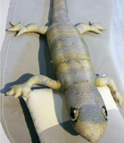 Giant Soft Chameleon Plush Pillow Creative Funny Lizard Stuffed Toy