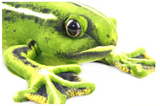 Life Like Frog Stuffed Animal Toy Realistic Flying Flog Plush Funny Toy