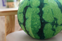 Simulation Plush Soft Watermelon White Gourd Pillow Stuffed Fruit Toy